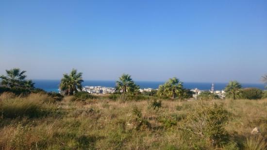 Świątynia Apollina